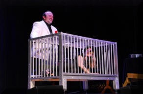 APOLO REX. MAGIA ADULTOS